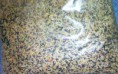 deli nature pre kanare